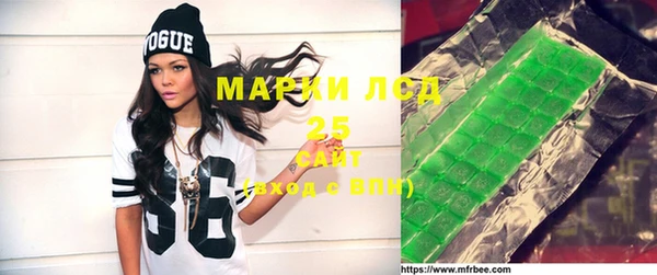 шишки Баксан