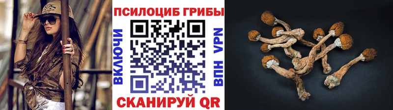 купить  сайты  Коркино  Псилоцибиновые грибы Magic Shrooms 